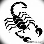 фото эскиз тату скорпион от 24.04.2018 №047 - sketch of a scorpion tattoo - tatufoto.com