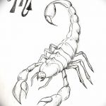 фото эскиз тату скорпион от 24.04.2018 №048 - sketch of a scorpion tattoo - tatufoto.com