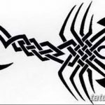фото эскиз тату скорпион от 24.04.2018 №049 - sketch of a scorpion tattoo - tatufoto.com