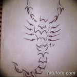 фото эскиз тату скорпион от 24.04.2018 №053 - sketch of a scorpion tattoo - tatufoto.com