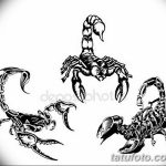 фото эскиз тату скорпион от 24.04.2018 №056 - sketch of a scorpion tattoo - tatufoto.com