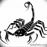 фото эскиз тату скорпион от 24.04.2018 №057 - sketch of a scorpion tattoo - tatufoto.com