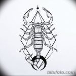 фото эскиз тату скорпион от 24.04.2018 №058 - sketch of a scorpion tattoo - tatufoto.com