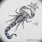 фото эскиз тату скорпион от 24.04.2018 №060 - sketch of a scorpion tattoo - tatufoto.com