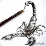 фото эскиз тату скорпион от 24.04.2018 №061 - sketch of a scorpion tattoo - tatufoto.com