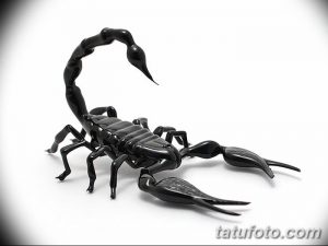 Черно-белый эскиз татуировки скорпиона с глянцевым эффектом. Блестящая поверхность создает эффект объема и реалистичности.