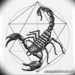 фото эскиз тату скорпион от 24.04.2018 №063 - sketch of a scorpion tattoo - tatufoto.com