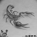 фото эскиз тату скорпион от 24.04.2018 №065 - sketch of a scorpion tattoo - tatufoto.com