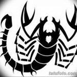 фото эскиз тату скорпион от 24.04.2018 №067 - sketch of a scorpion tattoo - tatufoto.com