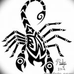 фото эскиз тату скорпион от 24.04.2018 №068 - sketch of a scorpion tattoo - tatufoto.com