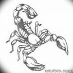 фото эскиз тату скорпион от 24.04.2018 №069 - sketch of a scorpion tattoo - tatufoto.com