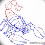 фото эскиз тату скорпион от 24.04.2018 №070 - sketch of a scorpion tattoo - tatufoto.com