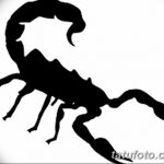 фото эскиз тату скорпион от 24.04.2018 №072 - sketch of a scorpion tattoo - tatufoto.com