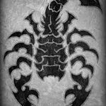 фото эскиз тату скорпион от 24.04.2018 №073 - sketch of a scorpion tattoo - tatufoto.com