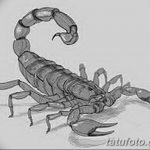 фото эскиз тату скорпион от 24.04.2018 №074 - sketch of a scorpion tattoo - tatufoto.com
