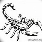 фото эскиз тату скорпион от 24.04.2018 №075 - sketch of a scorpion tattoo - tatufoto.com