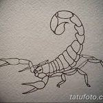 фото эскиз тату скорпион от 24.04.2018 №077 - sketch of a scorpion tattoo - tatufoto.com