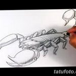 фото эскиз тату скорпион от 24.04.2018 №081 - sketch of a scorpion tattoo - tatufoto.com