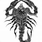 фото эскиз тату скорпион от 24.04.2018 №082 - sketch of a scorpion tattoo - tatufoto.com