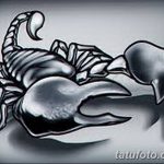 фото эскиз тату скорпион от 24.04.2018 №084 - sketch of a scorpion tattoo - tatufoto.com