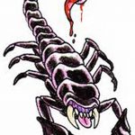 фото эскиз тату скорпион от 24.04.2018 №085 - sketch of a scorpion tattoo - tatufoto.com