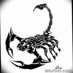 фото эскиз тату скорпион от 24.04.2018 №088 - sketch of a scorpion tattoo - tatufoto.com