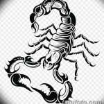 фото эскиз тату скорпион от 24.04.2018 №090 - sketch of a scorpion tattoo - tatufoto.com