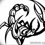 фото эскиз тату скорпион от 24.04.2018 №092 - sketch of a scorpion tattoo - tatufoto.com