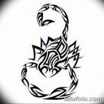 фото эскиз тату скорпион от 24.04.2018 №095 - sketch of a scorpion tattoo - tatufoto.com