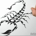 фото эскиз тату скорпион от 24.04.2018 №096 - sketch of a scorpion tattoo - tatufoto.com