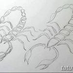 фото эскиз тату скорпион от 24.04.2018 №097 - sketch of a scorpion tattoo - tatufoto.com