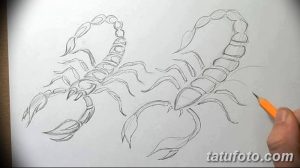 Два эскиза татуировки скорпиона, выполненные карандашом. Подходит для вдохновения и создания индивидуального рисунка.