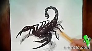 Фото эскиза татуировки скорпиона, выполненного карандашом. Быстрый набросок с использованием штриховки и затенения, для создания динамичного образа.