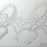 фото эскиз тату скорпион от 24.04.2018 №100 - sketch of a scorpion tattoo - tatufoto.com