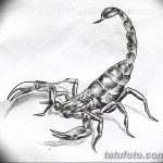 фото эскиз тату скорпион от 24.04.2018 №103 - sketch of a scorpion tattoo - tatufoto.com