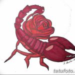 фото эскиз тату скорпион от 24.04.2018 №106 - sketch of a scorpion tattoo - tatufoto.com