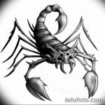 фото эскиз тату скорпион от 24.04.2018 №107 - sketch of a scorpion tattoo - tatufoto.com
