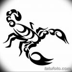 фото эскиз тату скорпион от 24.04.2018 №108 - sketch of a scorpion tattoo - tatufoto.com