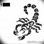 фото эскиз тату скорпион от 24.04.2018 №109 - sketch of a scorpion tattoo - tatufoto.com