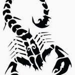 фото эскиз тату скорпион от 24.04.2018 №110 - sketch of a scorpion tattoo - tatufoto.com