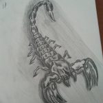 фото эскиз тату скорпион от 24.04.2018 №111 - sketch of a scorpion tattoo - tatufoto.com