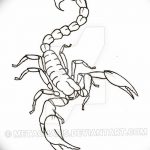 фото эскиз тату скорпион от 24.04.2018 №114 - sketch of a scorpion tattoo - tatufoto.com
