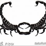 фото эскиз тату скорпион от 24.04.2018 №115 - sketch of a scorpion tattoo - tatufoto.com
