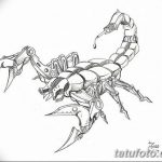фото эскиз тату скорпион от 24.04.2018 №116 - sketch of a scorpion tattoo - tatufoto.com