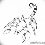 фото эскиз тату скорпион от 24.04.2018 №117 - sketch of a scorpion tattoo - tatufoto.com
