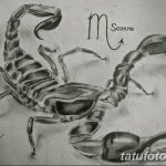 фото эскиз тату скорпион от 24.04.2018 №118 - sketch of a scorpion tattoo - tatufoto.com