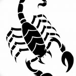 фото эскиз тату скорпион от 24.04.2018 №121 - sketch of a scorpion tattoo - tatufoto.com