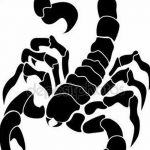 фото эскиз тату скорпион от 24.04.2018 №124 - sketch of a scorpion tattoo - tatufoto.com 34634