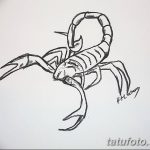 фото эскиз тату скорпион от 24.04.2018 №126 - sketch of a scorpion tattoo - tatufoto.com