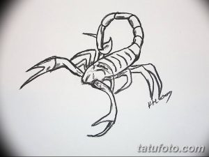 Карандашный эскиз татуировки скорпиона, выполненный в реалистичном стиле. Рисунок отличается детализацией и проработкой текстур.
